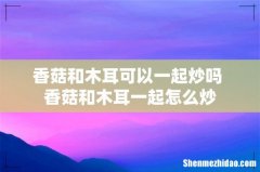 香菇和木耳可以一起炒吗 香菇和木耳一起怎么炒