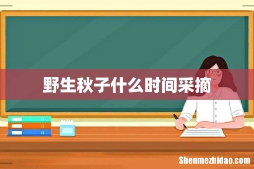 野生秋子什么时间采摘