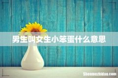 男生叫女生小笨蛋什么意思