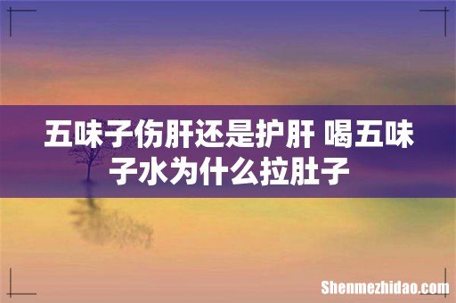 五味子伤肝还是护肝 喝五味子水为什么拉肚子