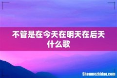 不管是在今天在明天在后天什么歌
