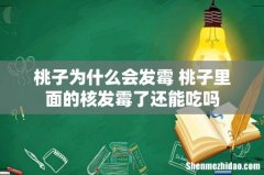 桃子为什么会发霉 桃子里面的核发霉了还能吃吗