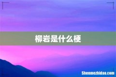柳岩是什么梗