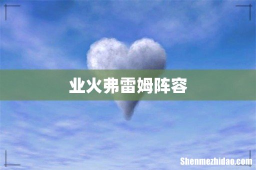 业火弗雷姆阵容