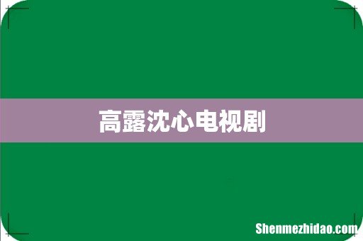 高露沈心电视剧