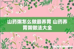 山药粥怎么做最养胃 山药养胃粥做法大全
