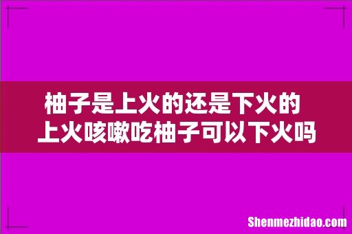 柚子是上火的还是下火的 上火咳嗽吃柚子可以下火吗
