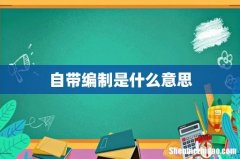 自带编制是什么意思