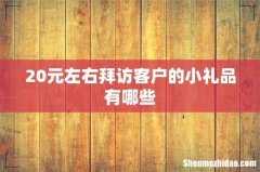 20元左右拜访客户的小礼品有哪些