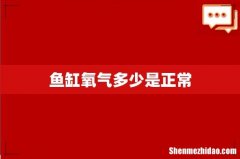 鱼缸氧气多少是正常
