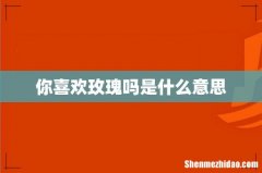 你喜欢玫瑰吗是什么意思