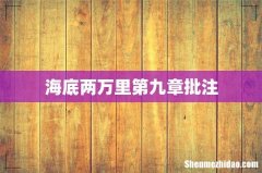 海底两万里第九章批注