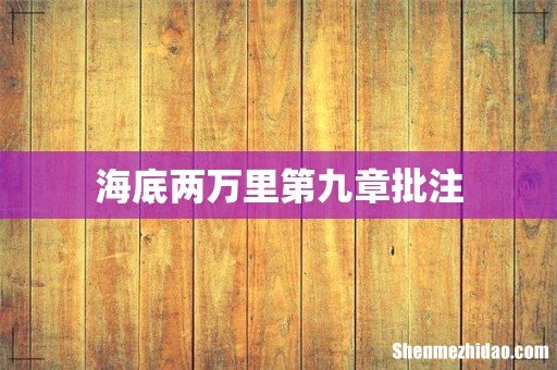 海底两万里第九章批注