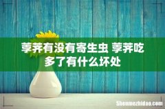 荸荠有没有寄生虫 荸荠吃多了有什么坏处