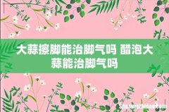 大蒜擦脚能治脚气吗 醋泡大蒜能治脚气吗