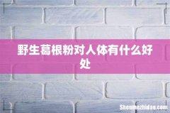 野生葛根粉对人体有什么好处