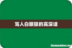 骂人白眼狼的高深话