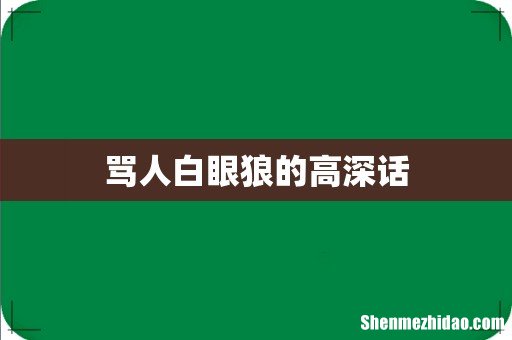 骂人白眼狼的高深话