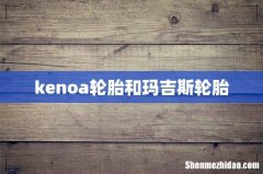kenoa轮胎和玛吉斯轮胎