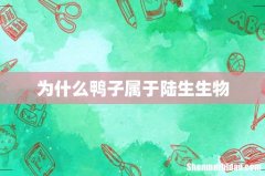 为什么鸭子属于陆生生物