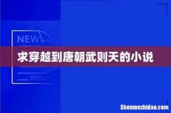 求穿越到唐朝武则天的小说