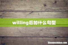 willing后加什么句型