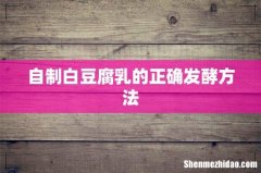 自制白豆腐乳的正确发酵方法