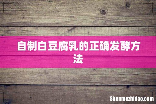 自制白豆腐乳的正确发酵方法