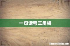 一句话夸三角梅