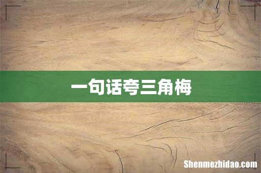 一句话夸三角梅