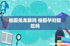 桂圆是龙眼吗 桂圆孕妇能吃吗