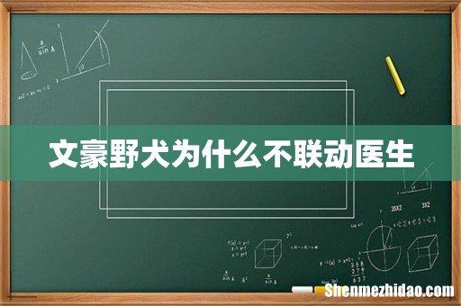 文豪野犬为什么不联动医生