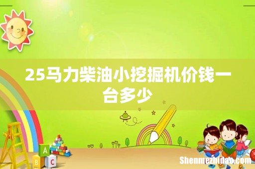 25马力柴油小挖掘机价钱一台多少