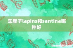 车厘子lapins和santina哪种好