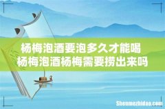 杨梅泡酒要泡多久才能喝 杨梅泡酒杨梅需要捞出来吗