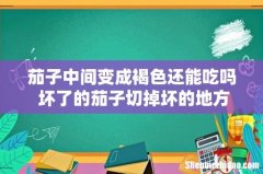 茄子中间变成褐色还能吃吗 坏了的茄子切掉坏的地方还能吃吗