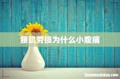腰肌劳损为什么小腹痛