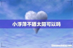 小浮萍不晒太阳可以吗