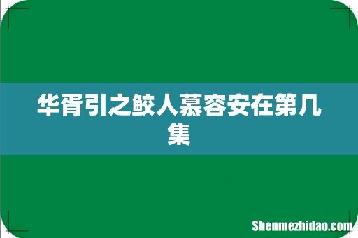 华胥引之鲛人慕容安在第几集