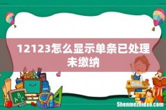12123怎么显示单条已处理未缴纳