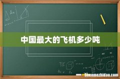中国最大的飞机多少吨