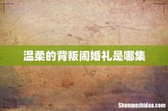 温柔的背叛闹婚礼是哪集