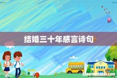 结婚三十年感言诗句