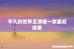 平凡的世界王满银一家最后结果