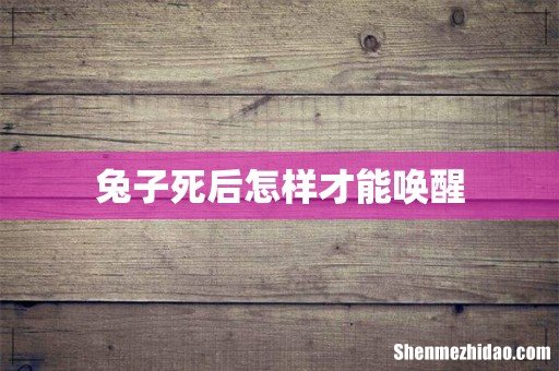 兔子死后怎样才能唤醒