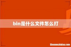 bin是什么文件怎么打