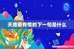 天地若有情的下一句是什么