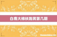 白鹿大棉袄跑男第几期