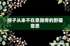 狮子从来不在意路旁的野猫意思