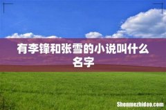 有李锋和张雪的小说叫什么名字
